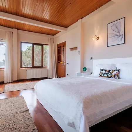 Bosphorus View House With Garden 5 Min To Coast * Istanbul