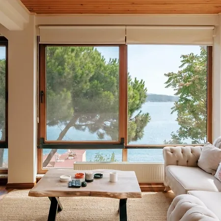Tatil Evi Bosphorus View House With Garden 5 Min To Coast İstanbul